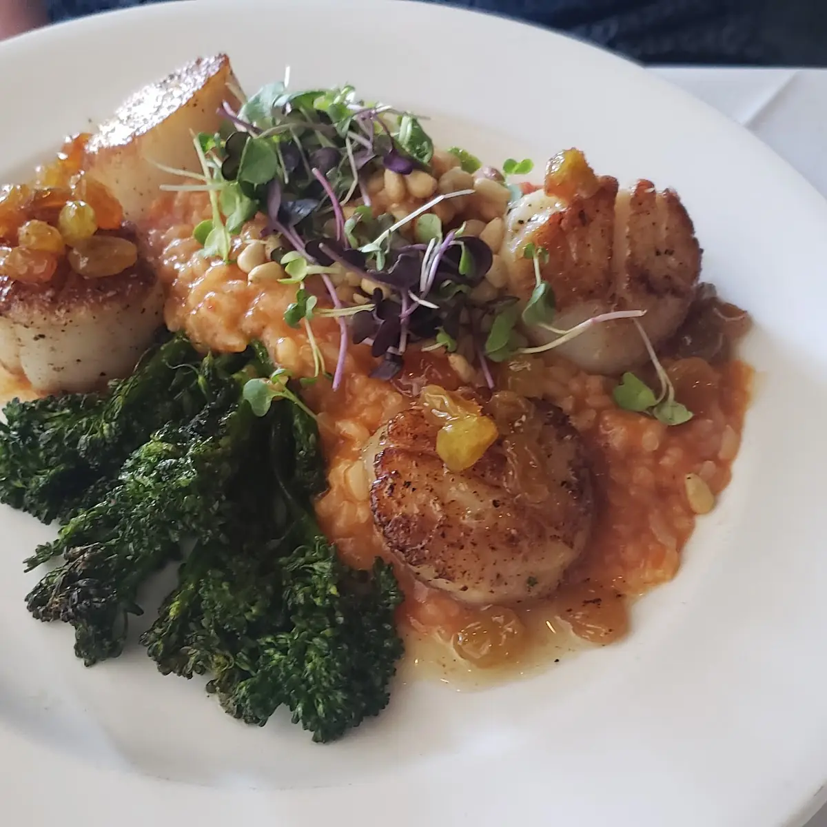 Seared Scallops