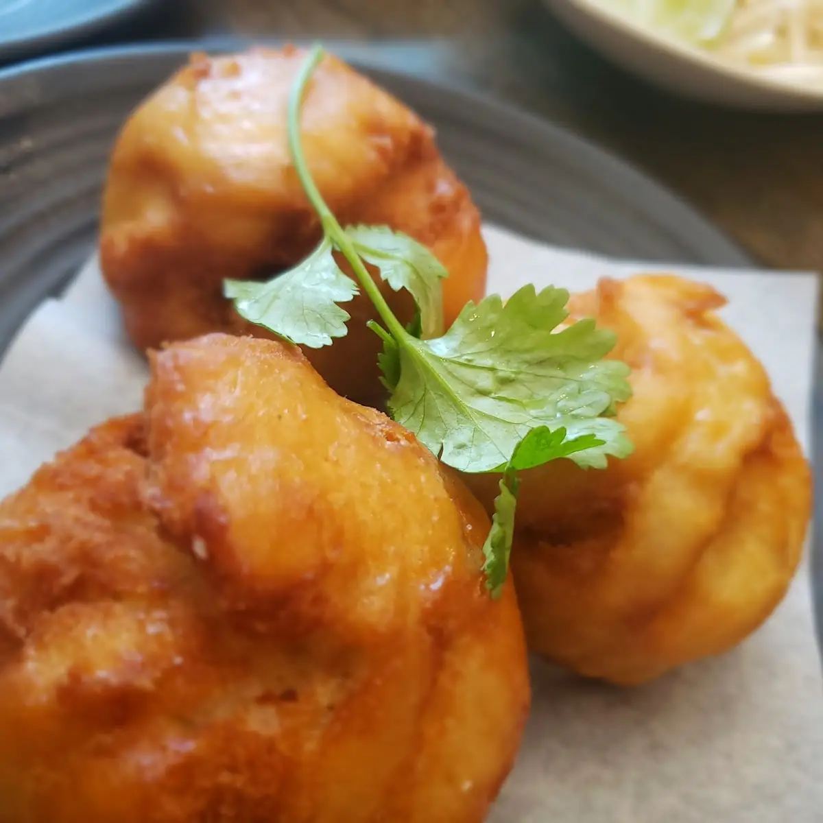 Fried Pork Dumplings