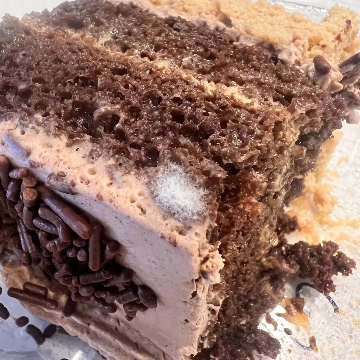 Chocolate Cake