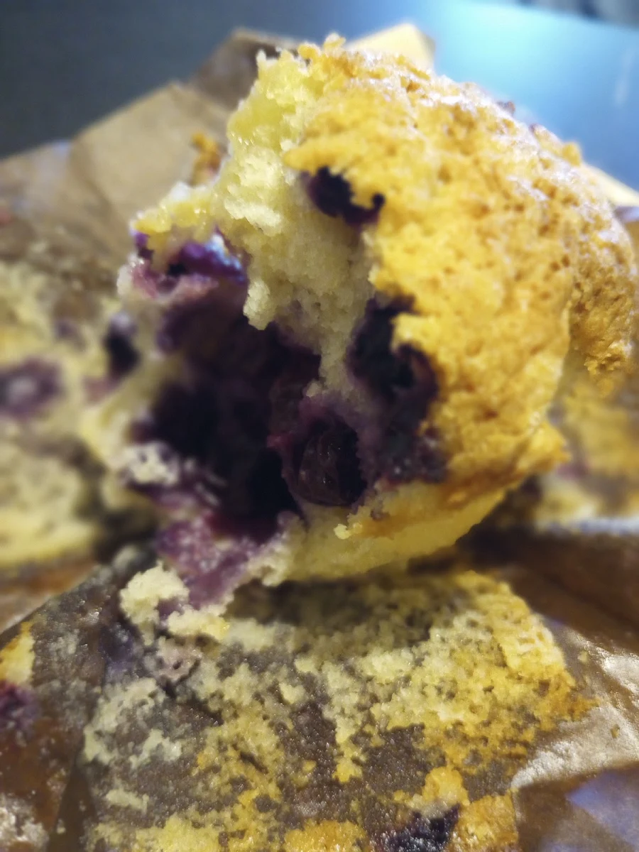 Blueberry Muffin