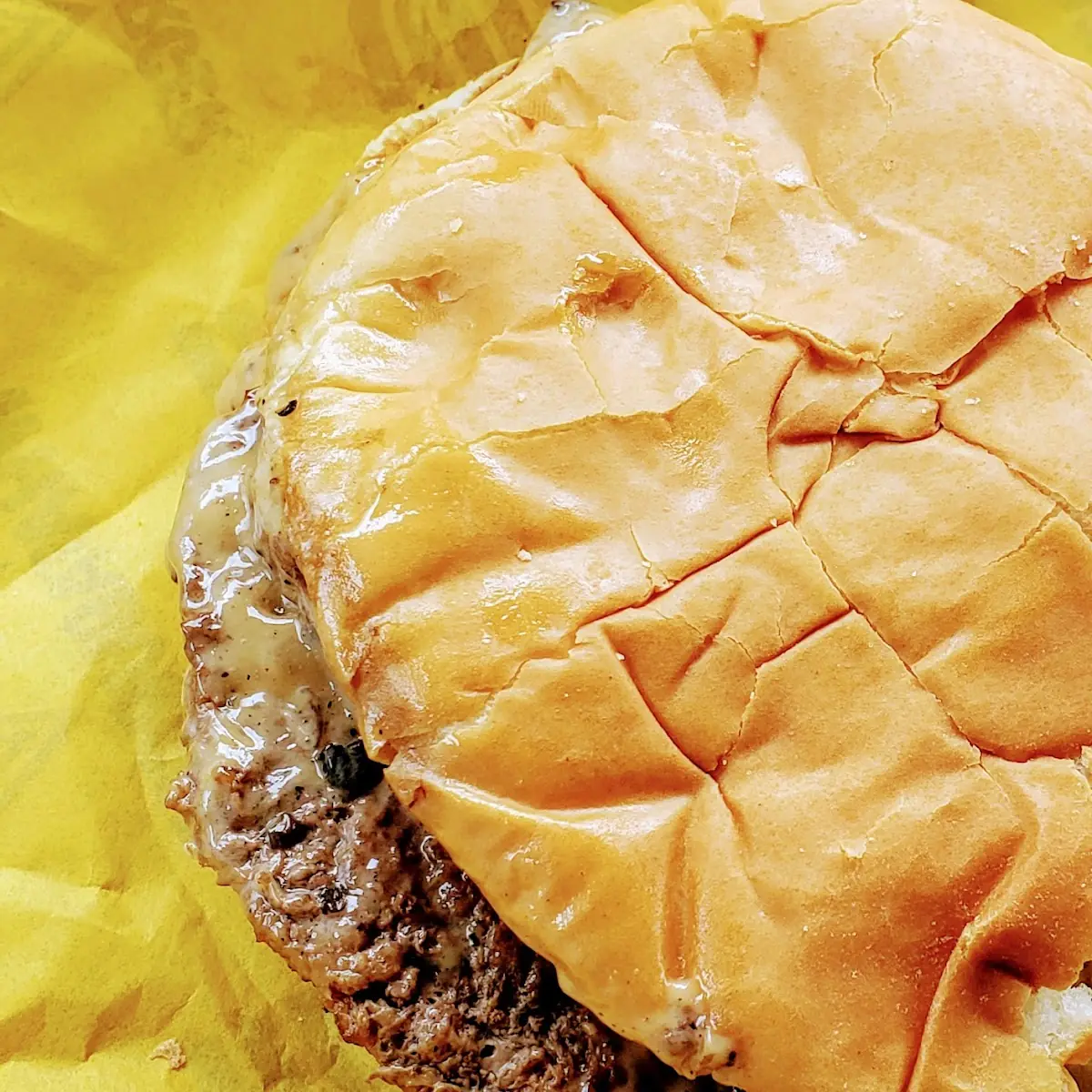Mushroom Swiss Burger