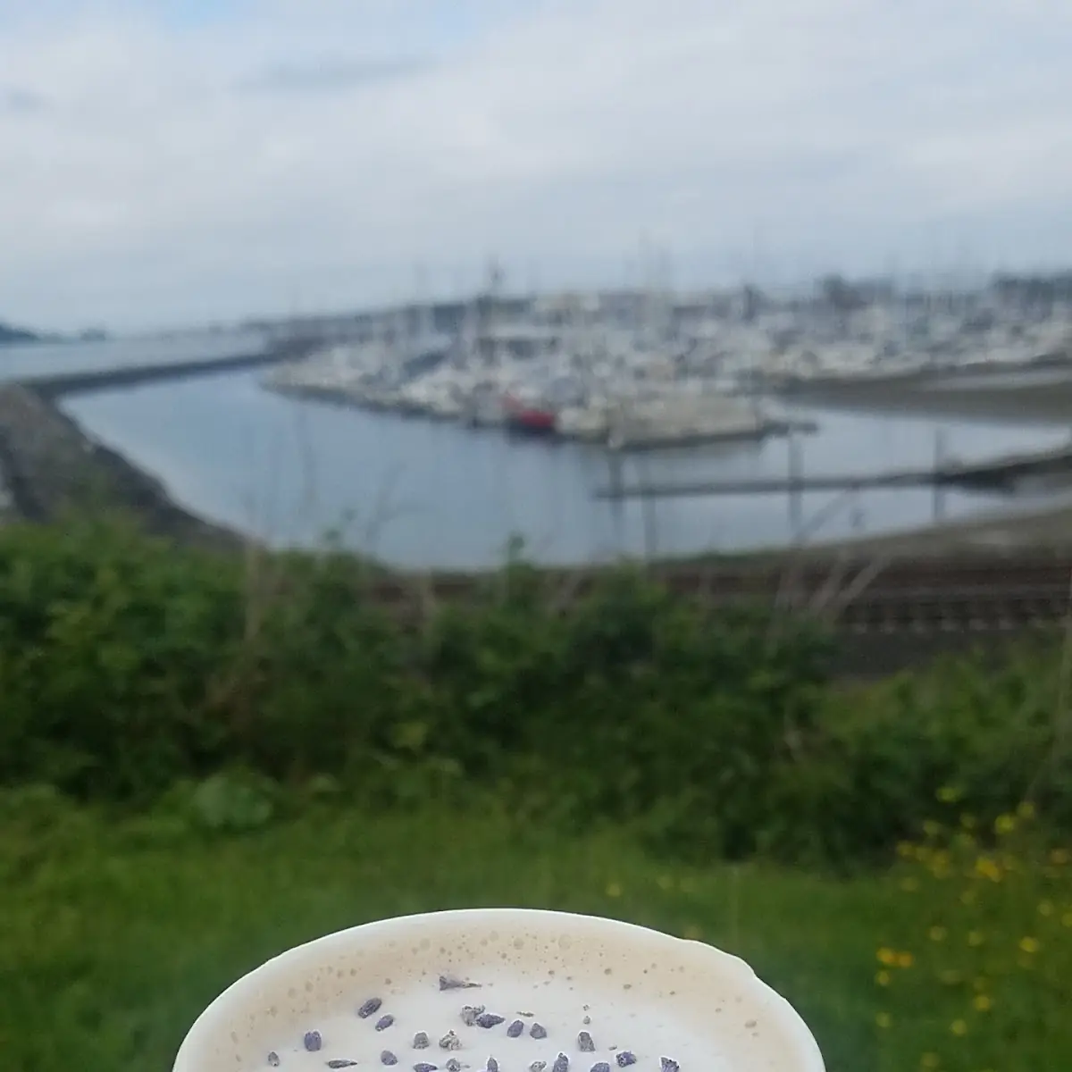 Lavender Latte