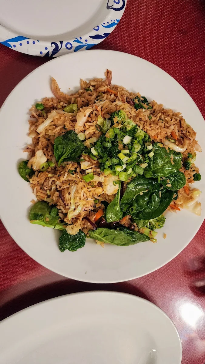 Vegetarian Fried Rice
