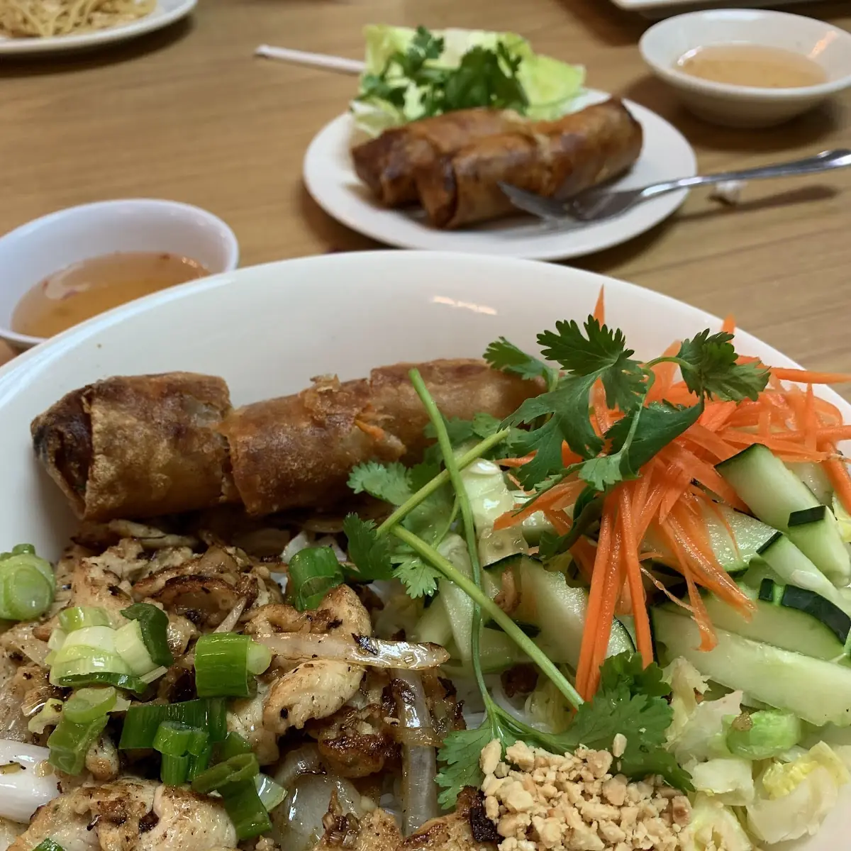 Vietnamese Spring Roll