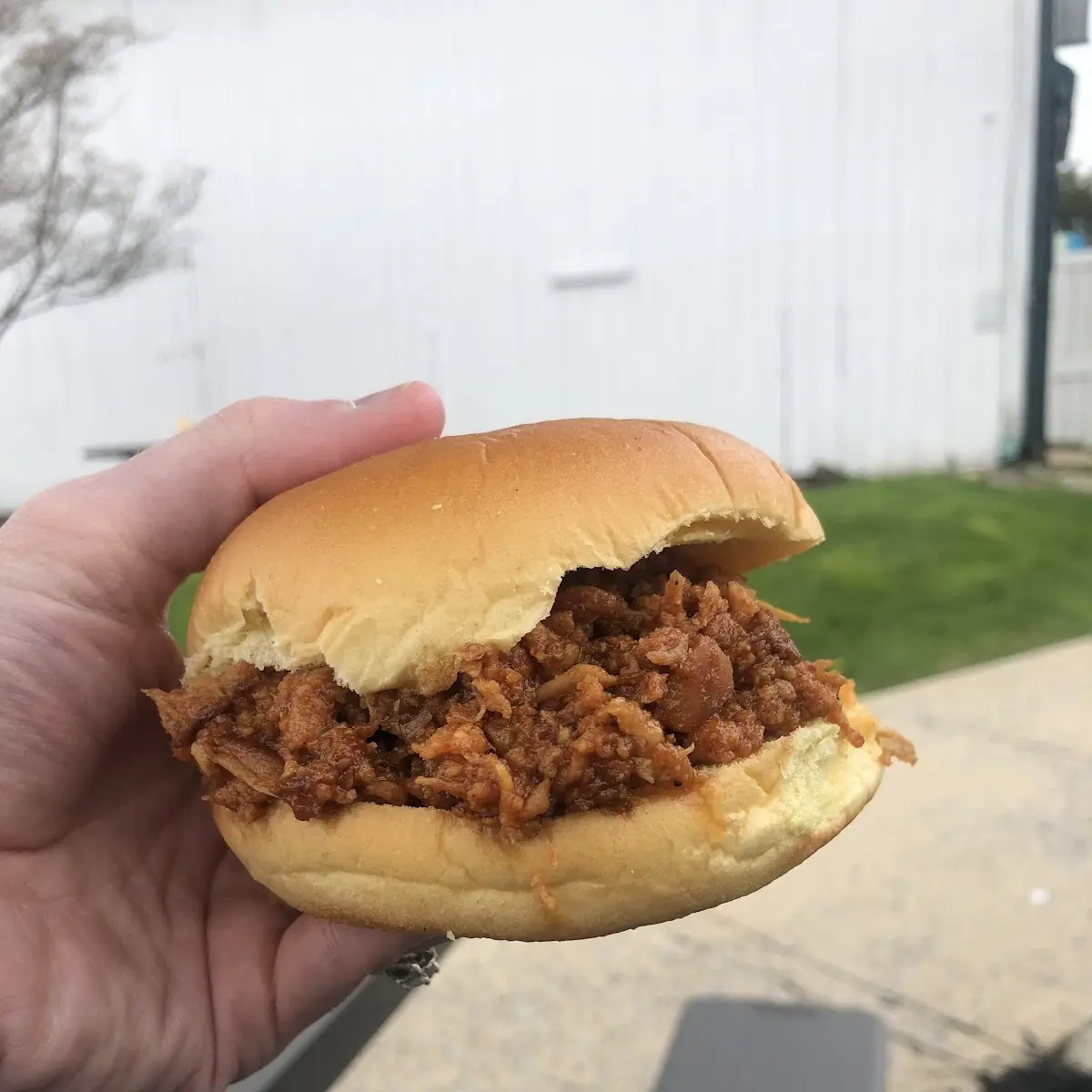 Pulled Pork Sandwich