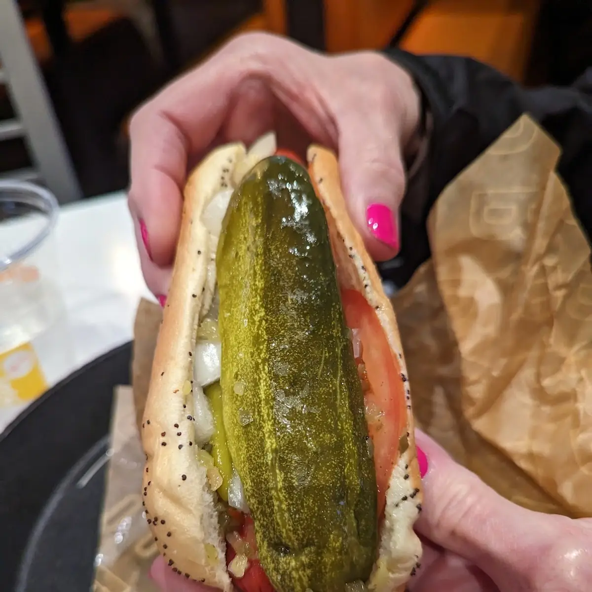 Chicago Hot Dog