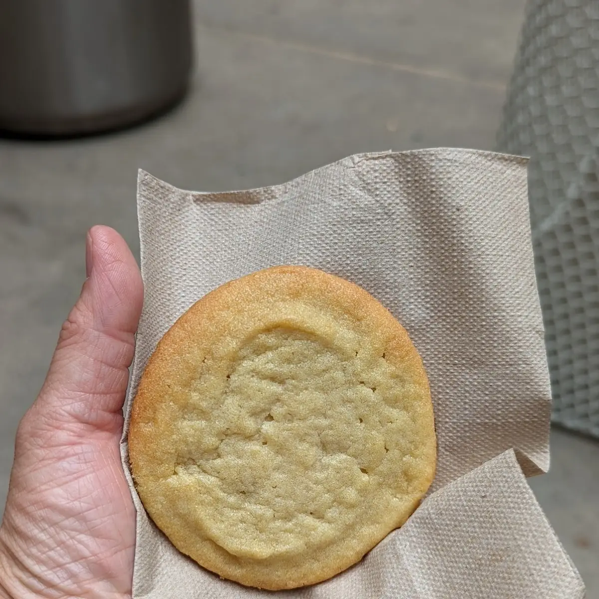 Sugar Cookie