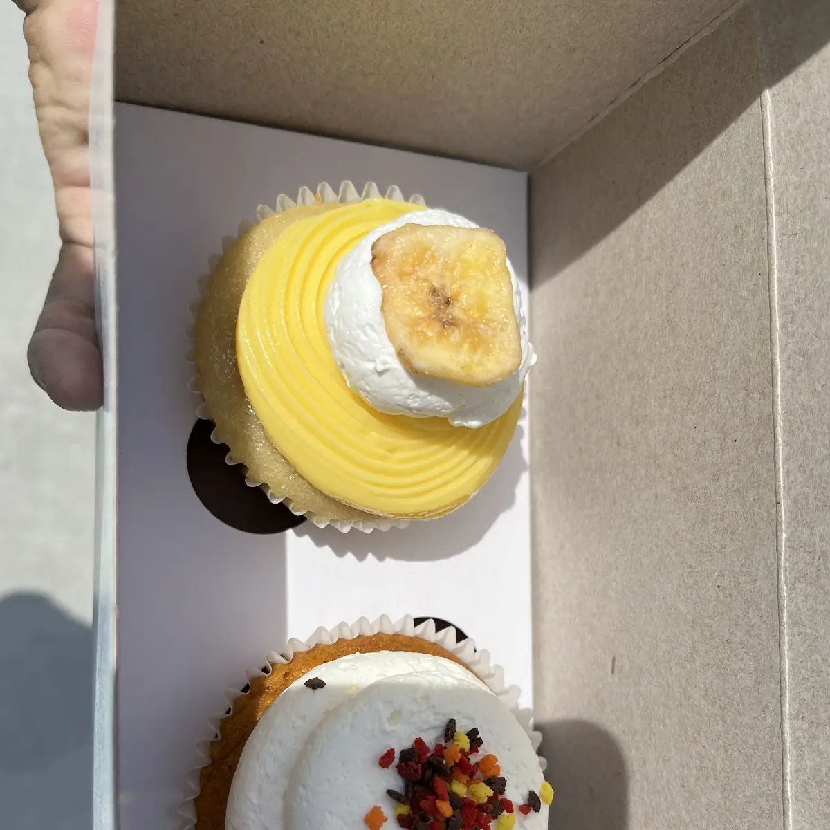 Split Dozen Mini Cupcakes
