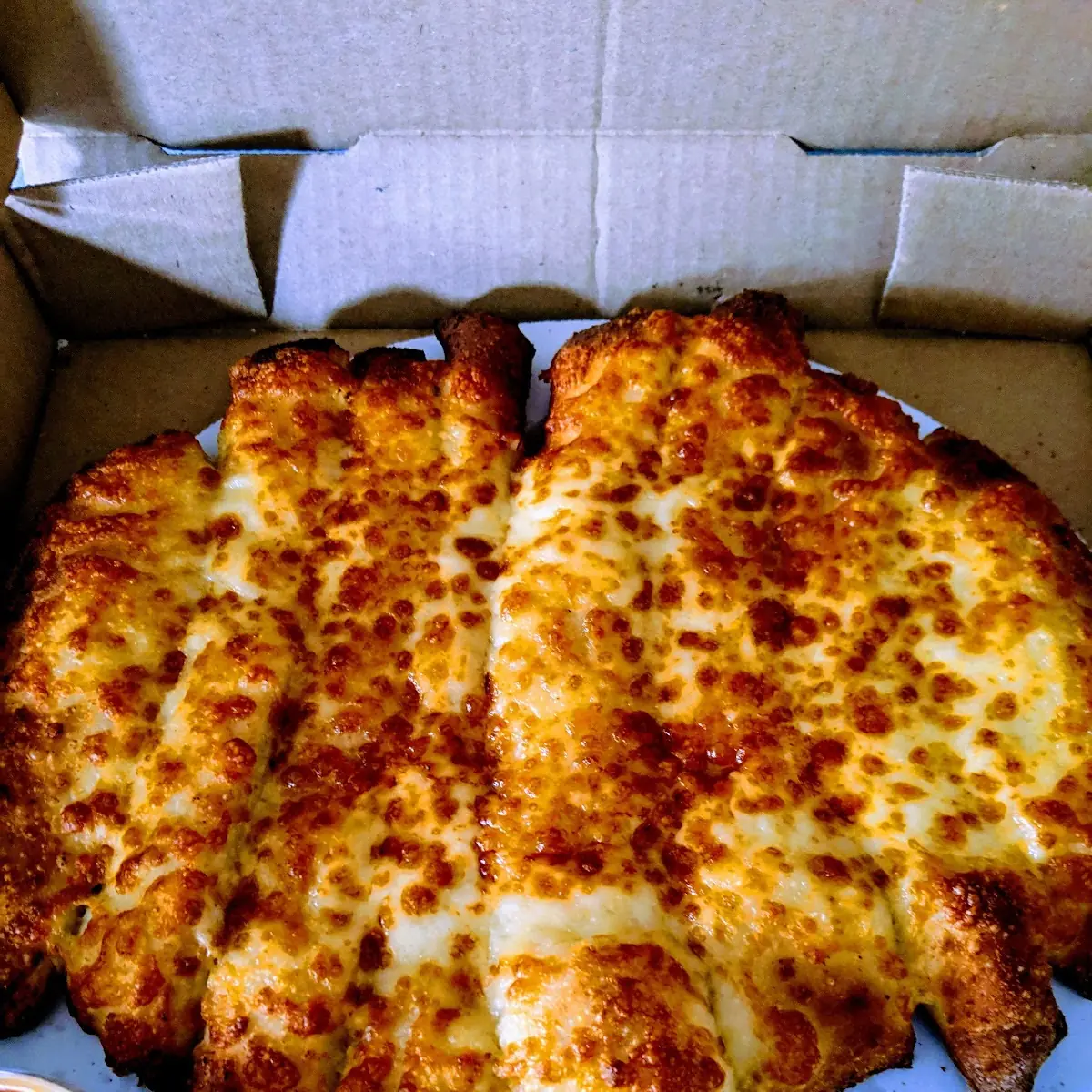Bread Sticks with Cheese