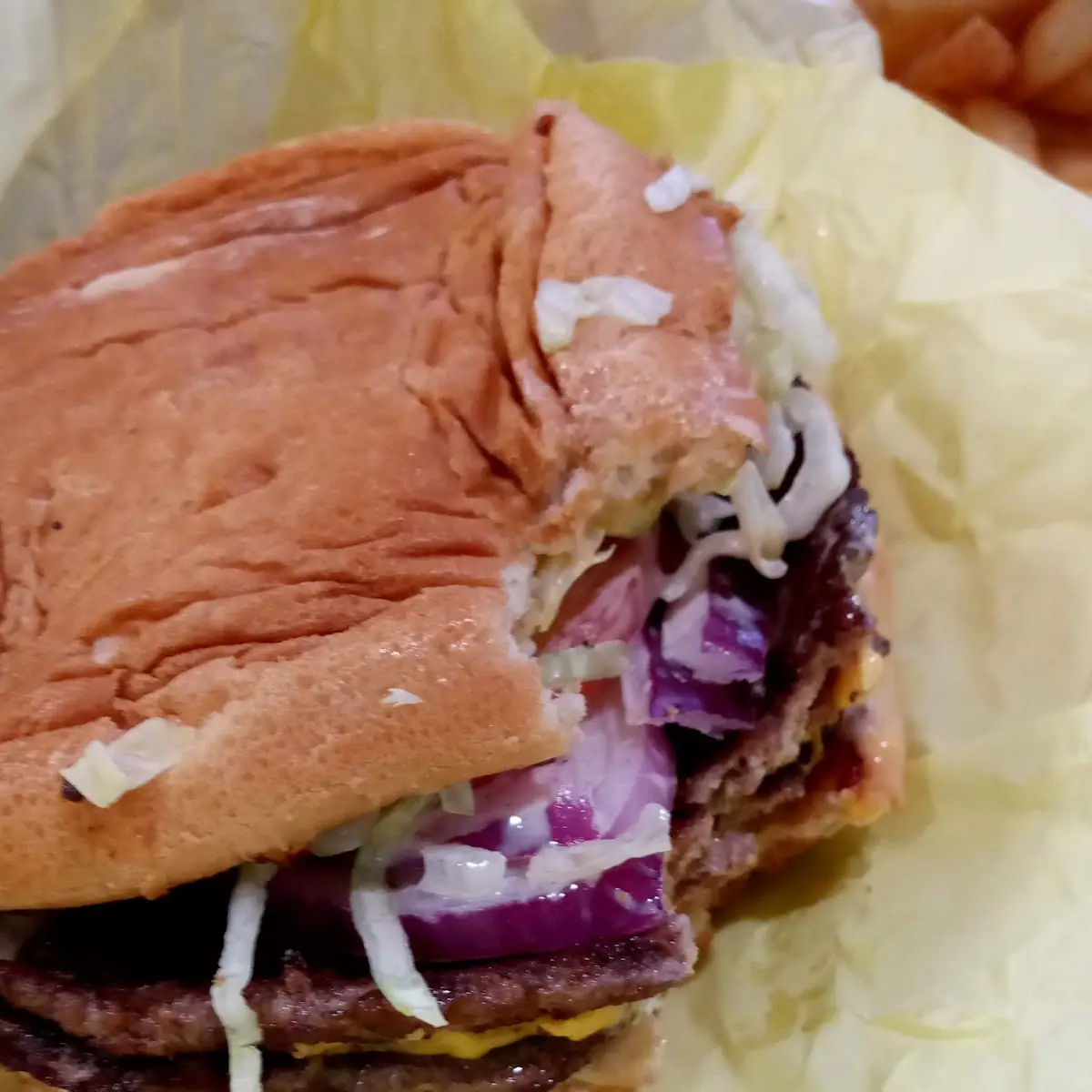 Tams Double Cheese Burger Combo