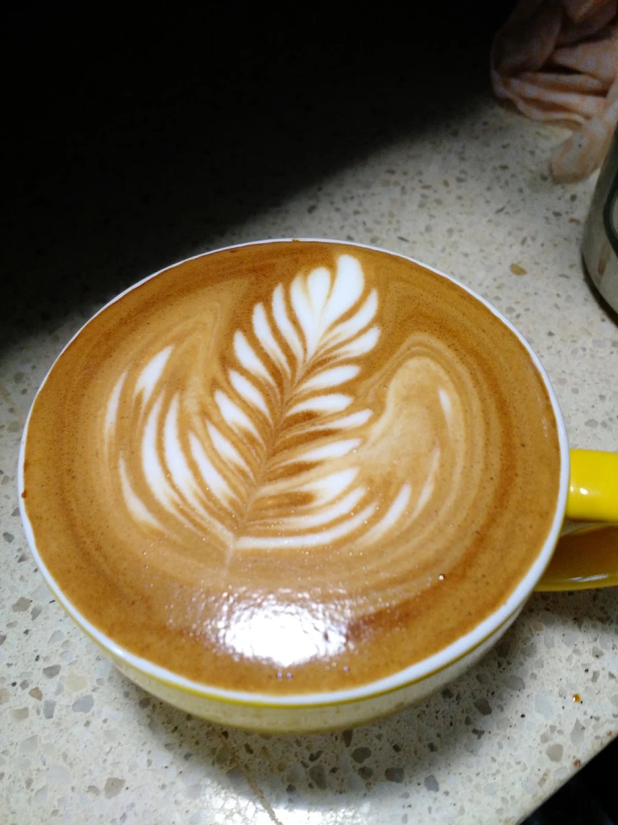 Coffee Roasters, Scale & Bloom Cafe - New Lambton