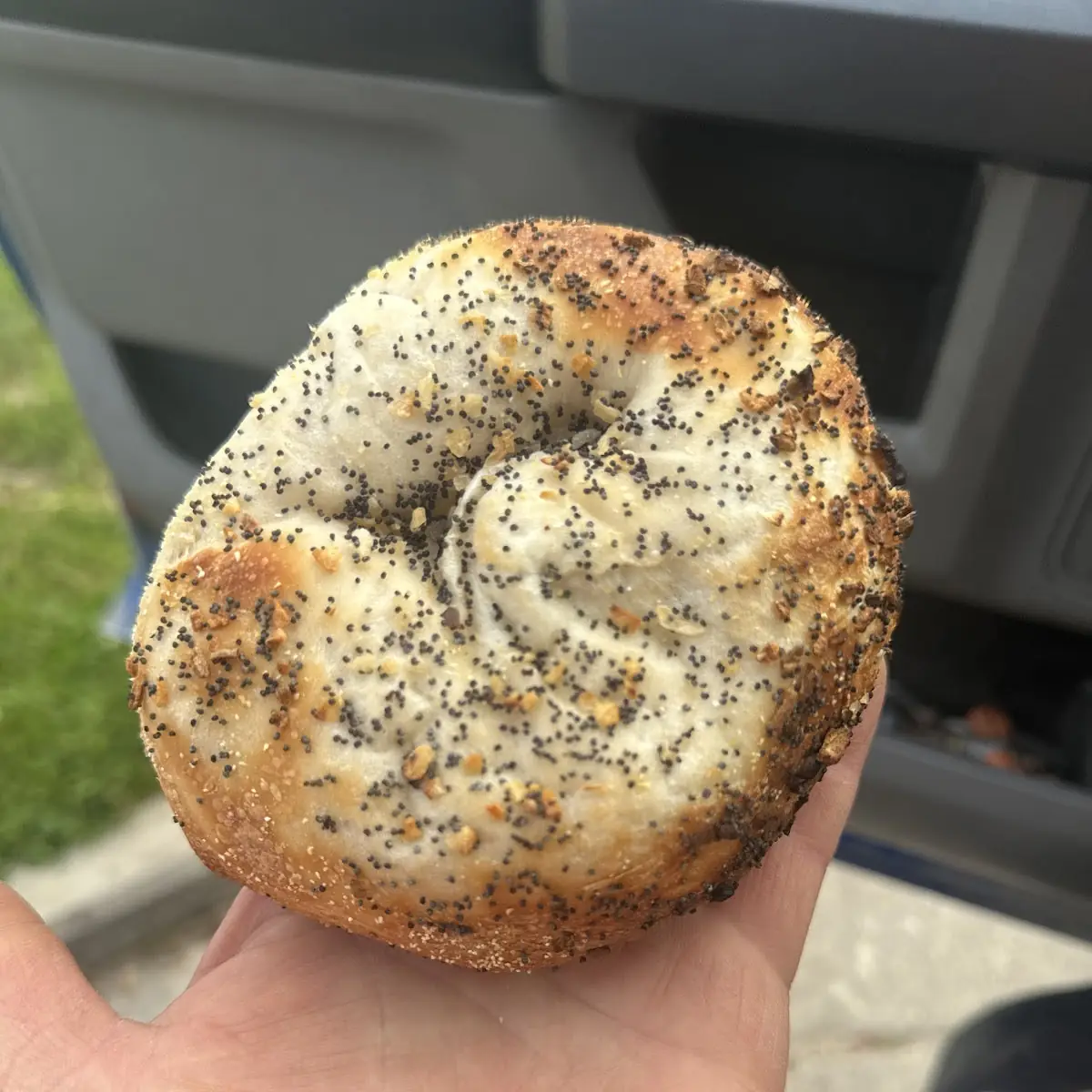 Chocolate Bagel