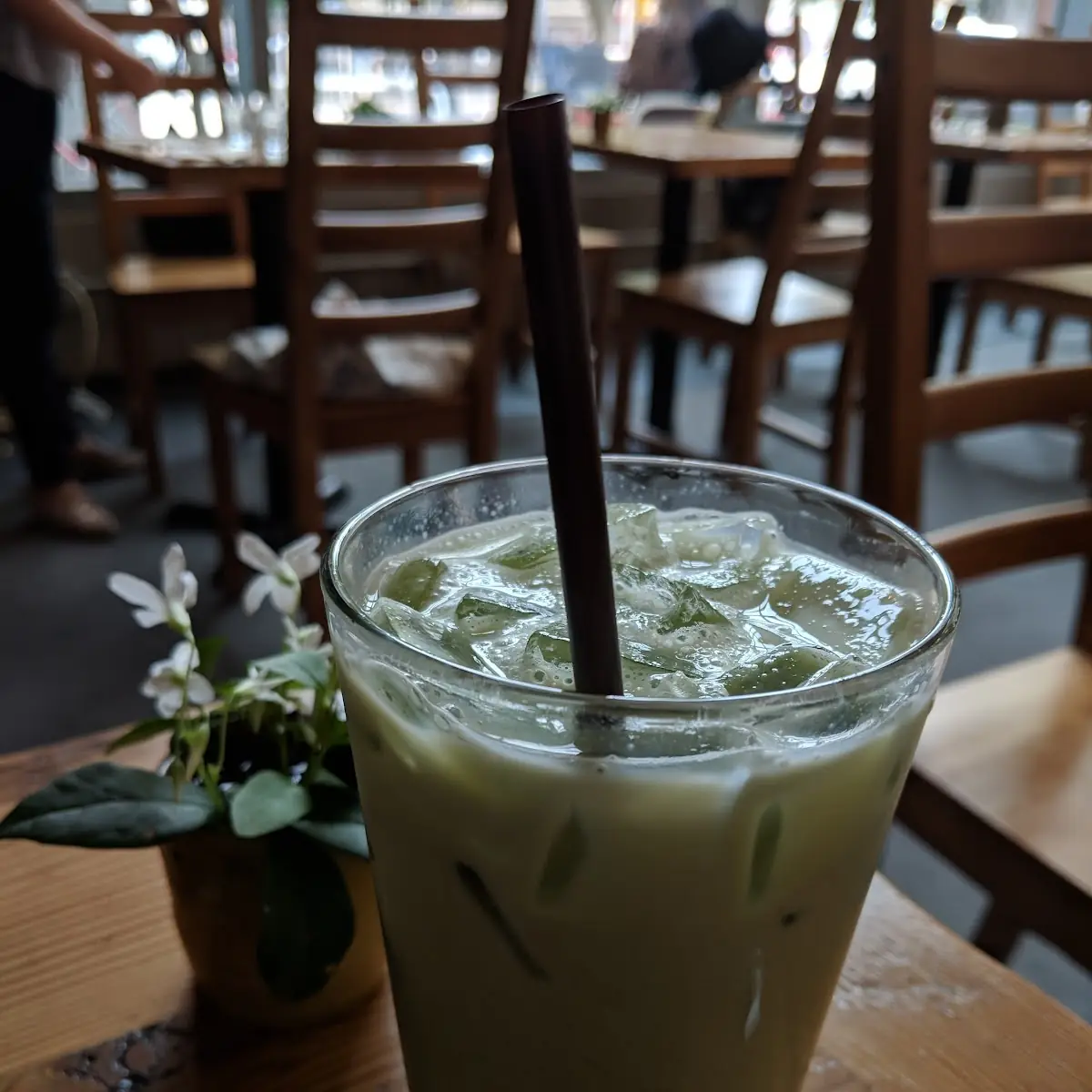 Iced Matcha Latte