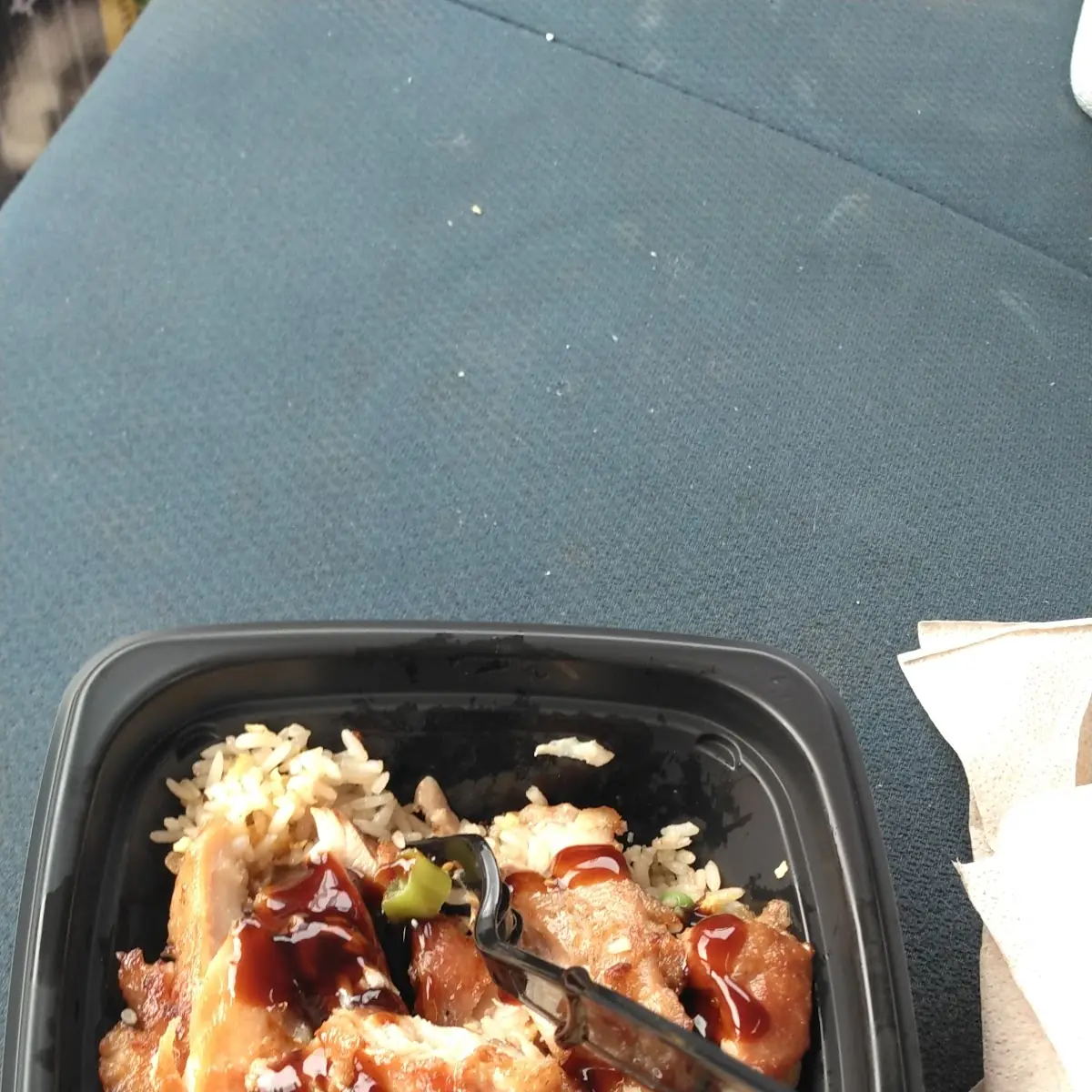Grilled Chicken Teriyaki