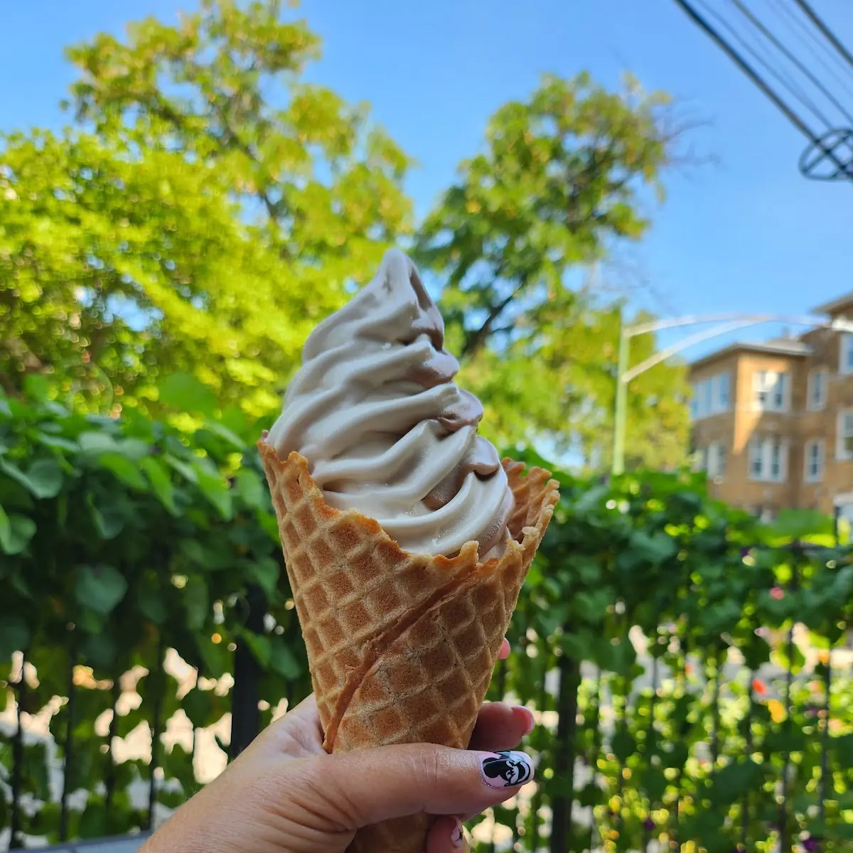 Waffle Cone