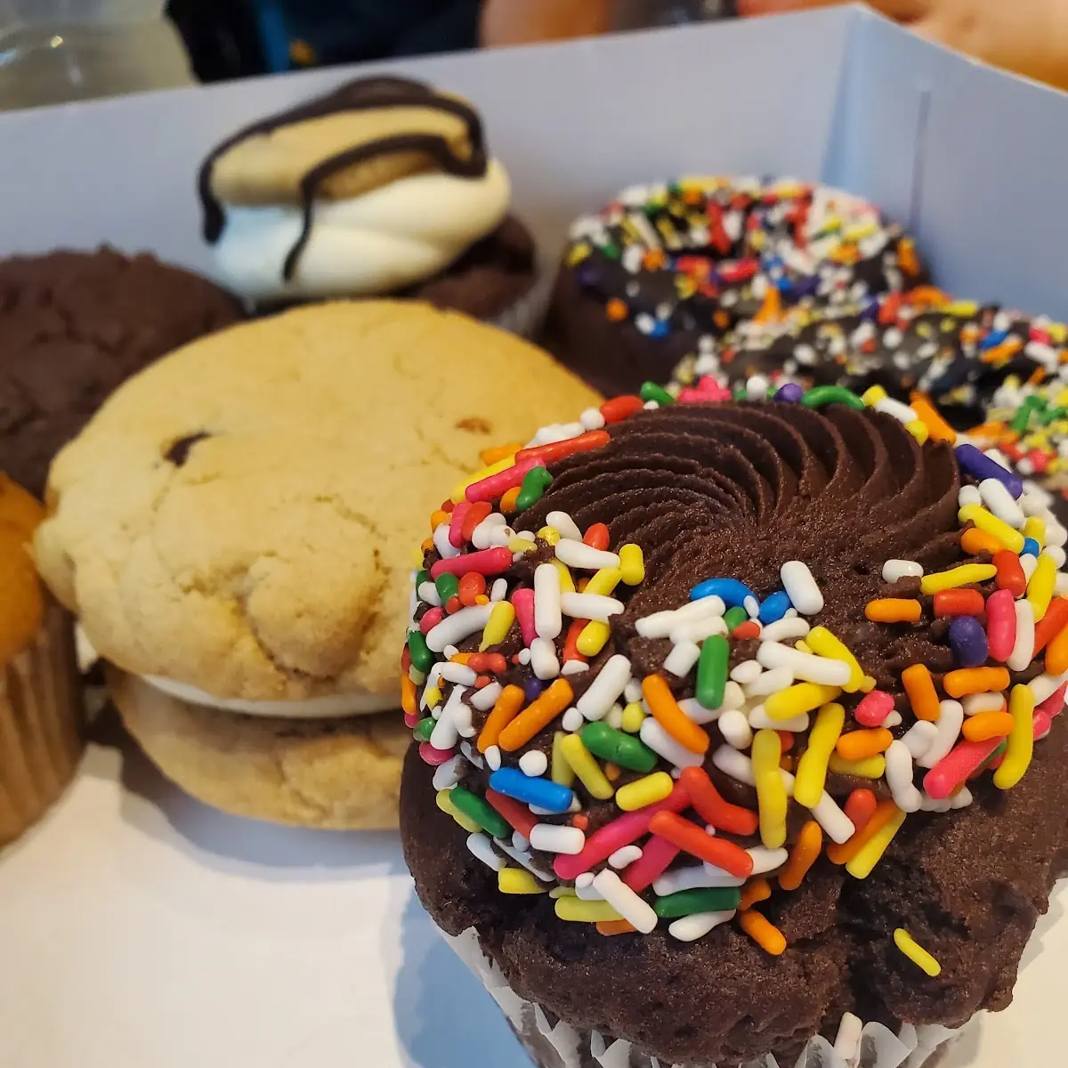 Chocolate Cupcake Chocolate Chip Whoopee Pie