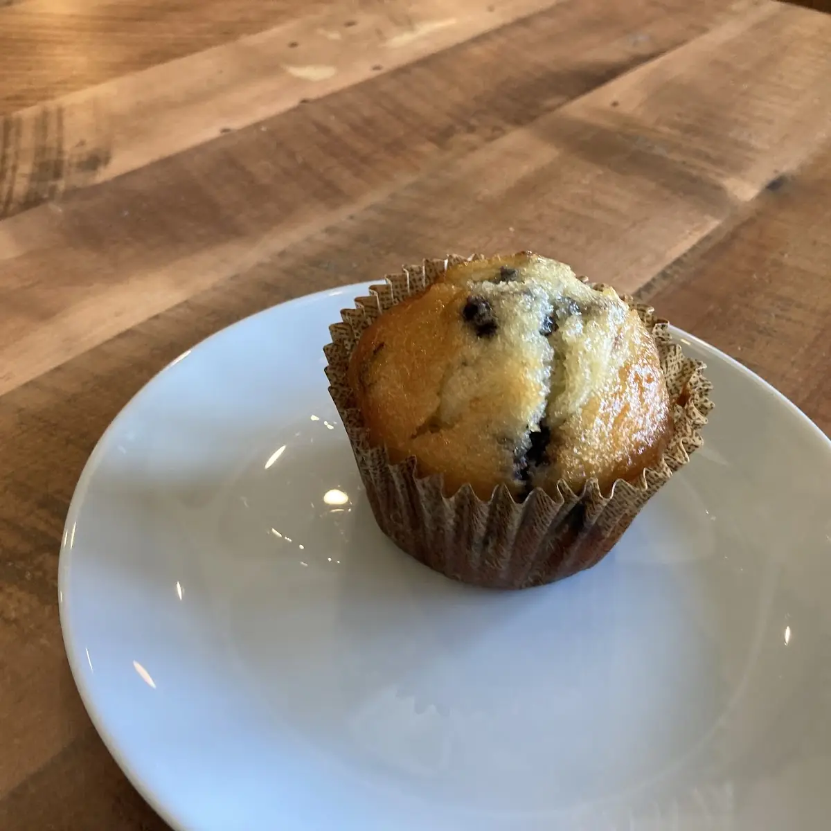Blueberry Muffin