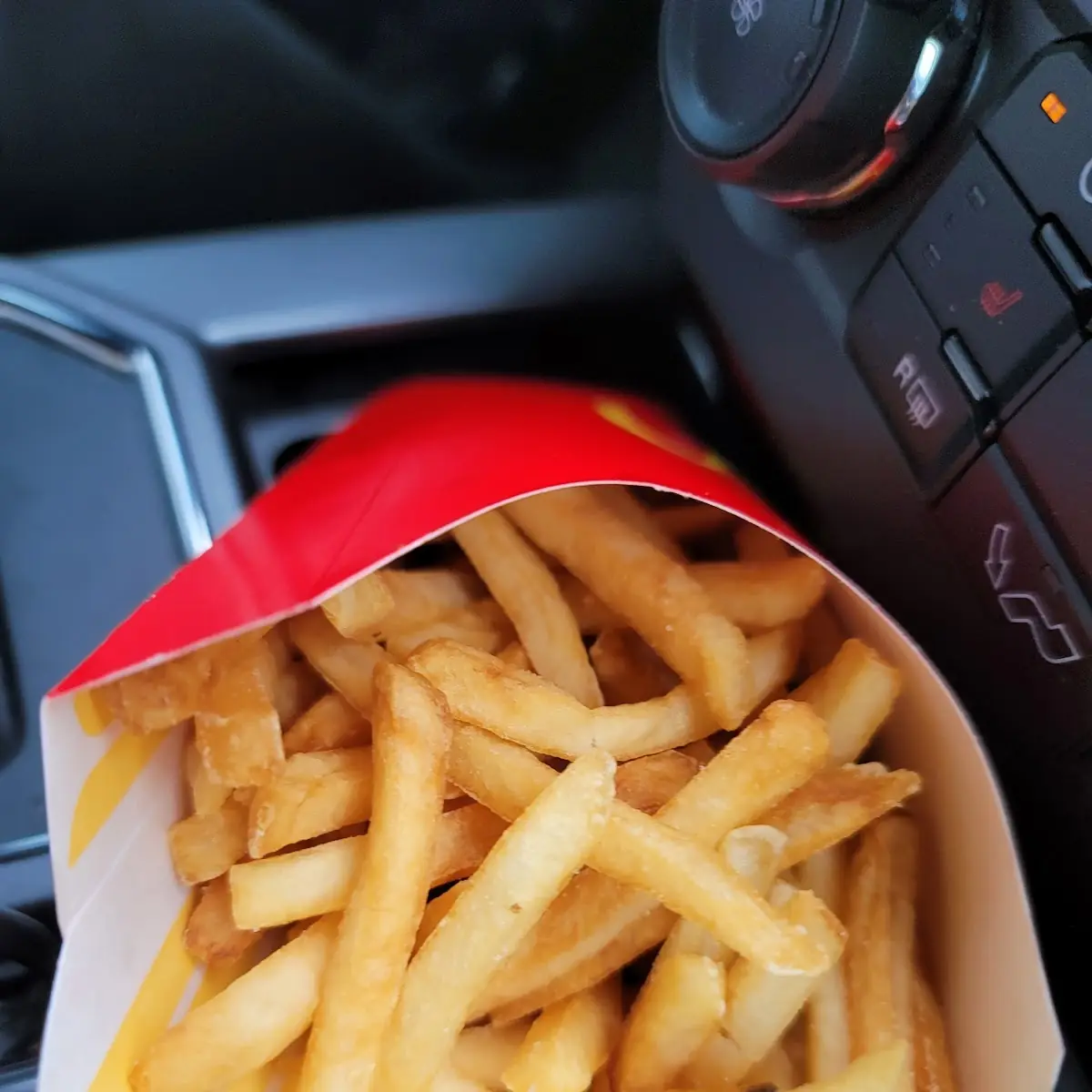 World Famous Fries