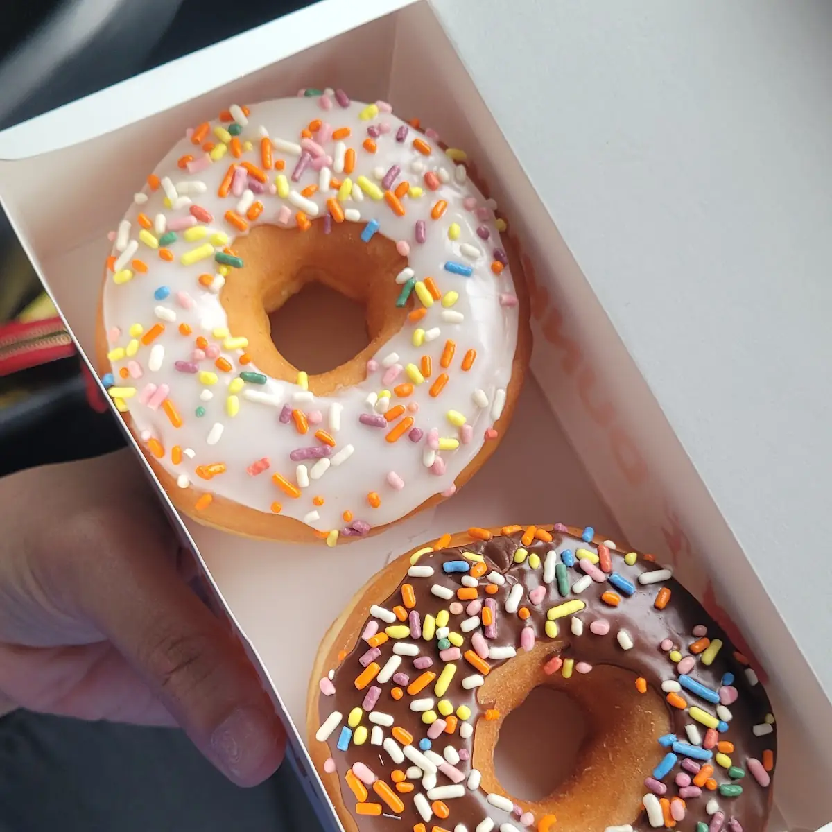Doughnut