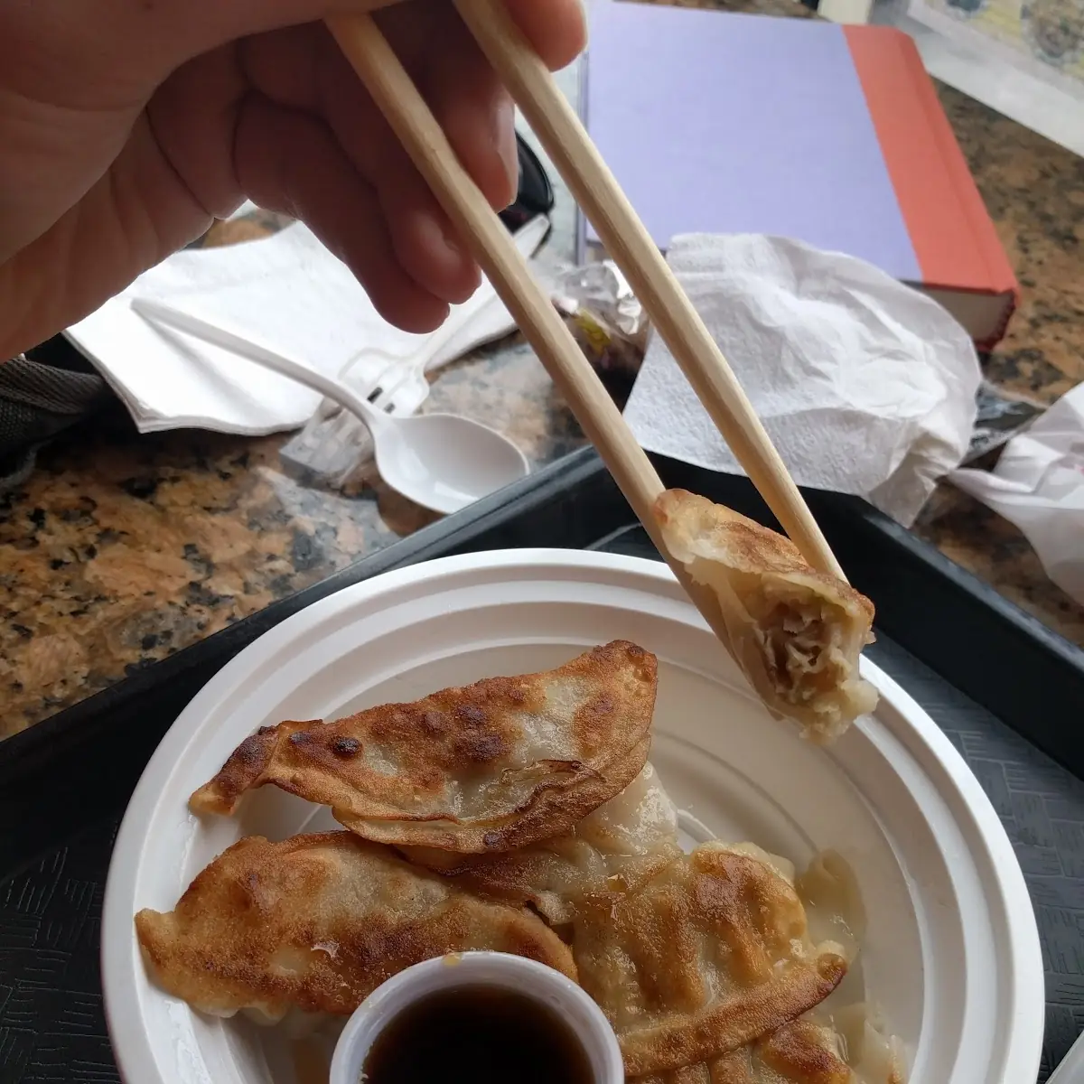 7. Steamed Pork Dumplings (6)