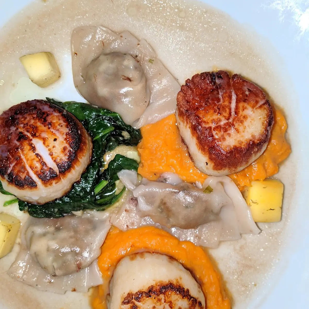 Sea Scallops