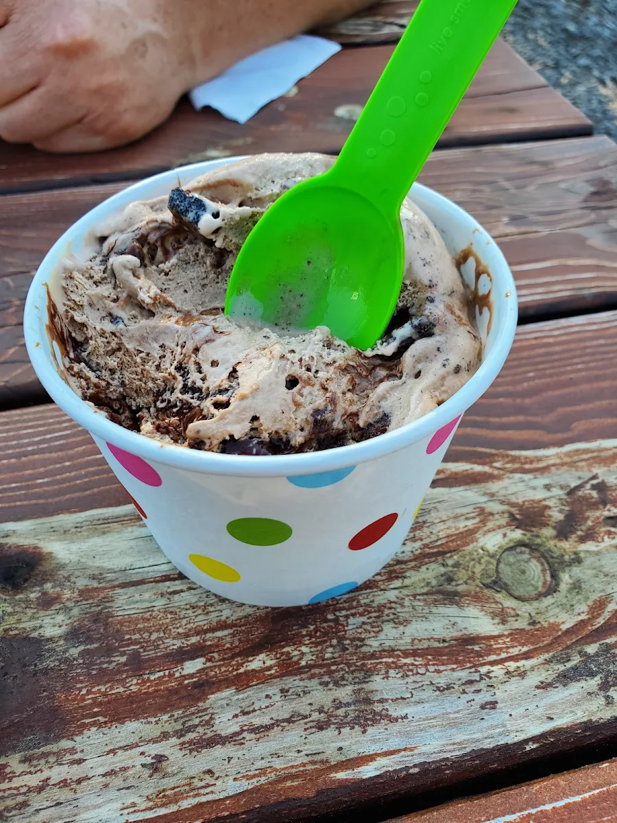 Chocolate Brownie Bites