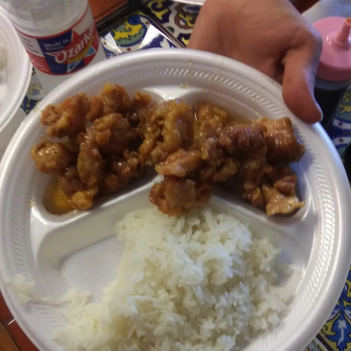 Sweet & Sour Chicken