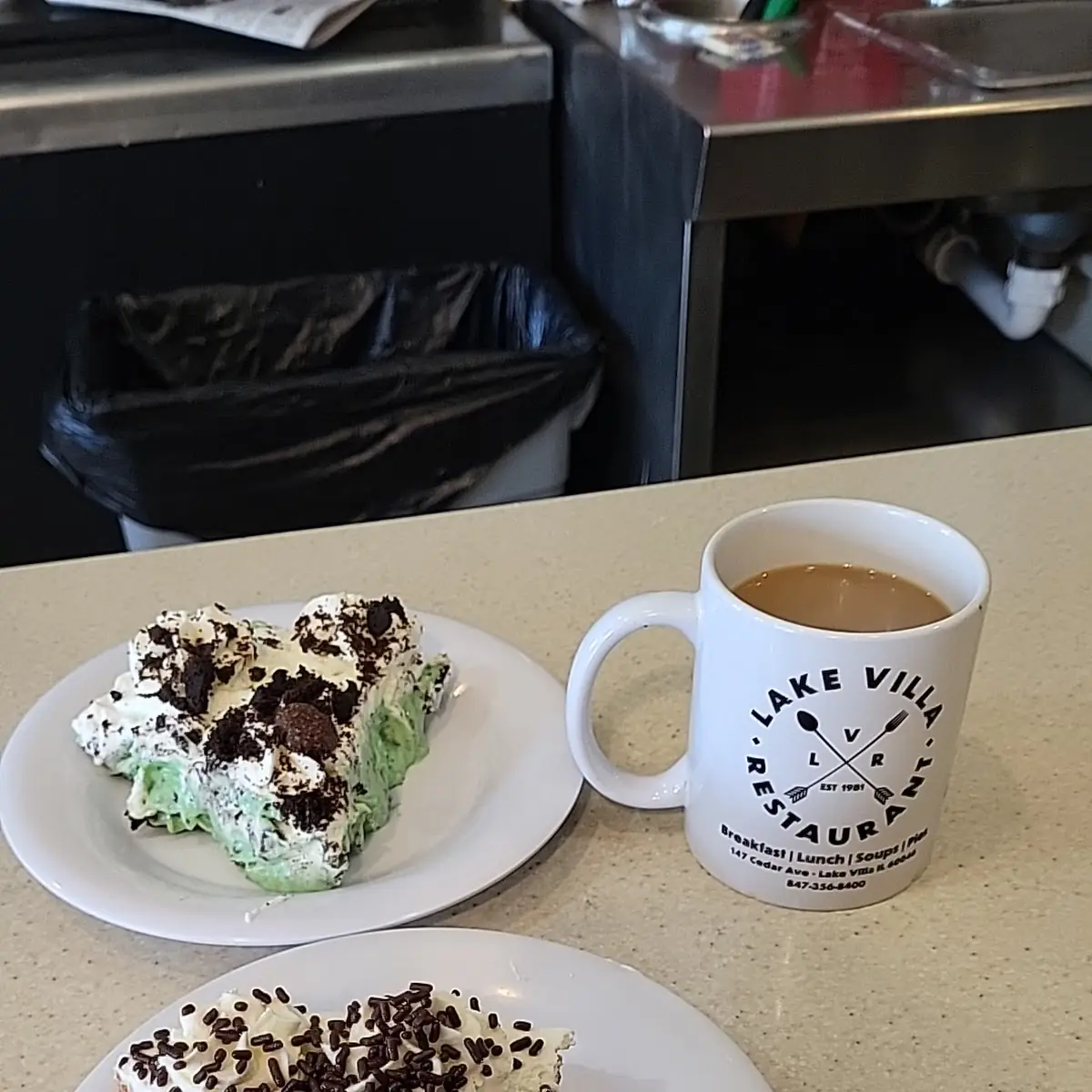 Mint Chocolate Chip