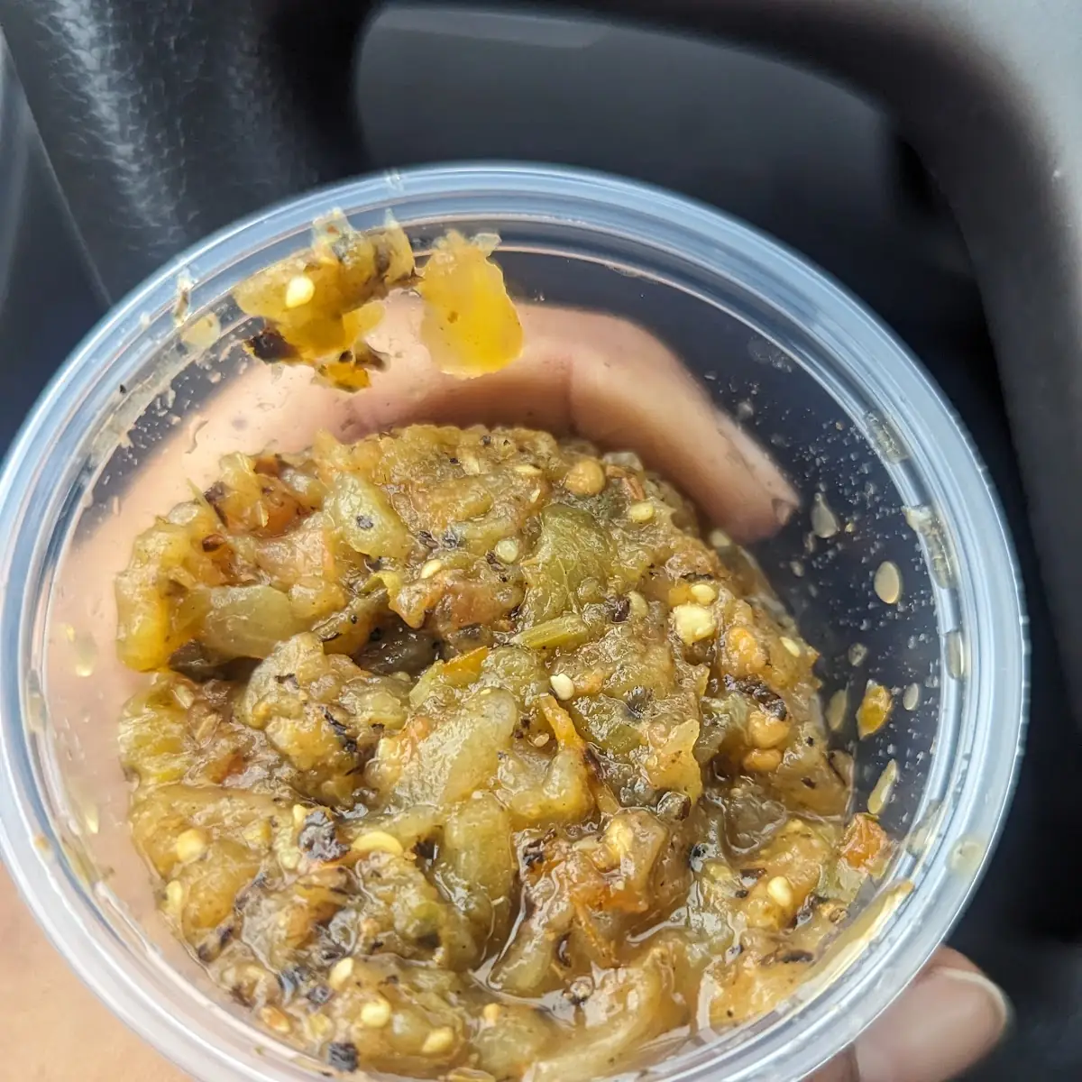 Green Chile Verde