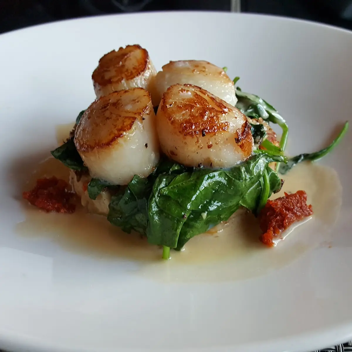 Sea Scallops