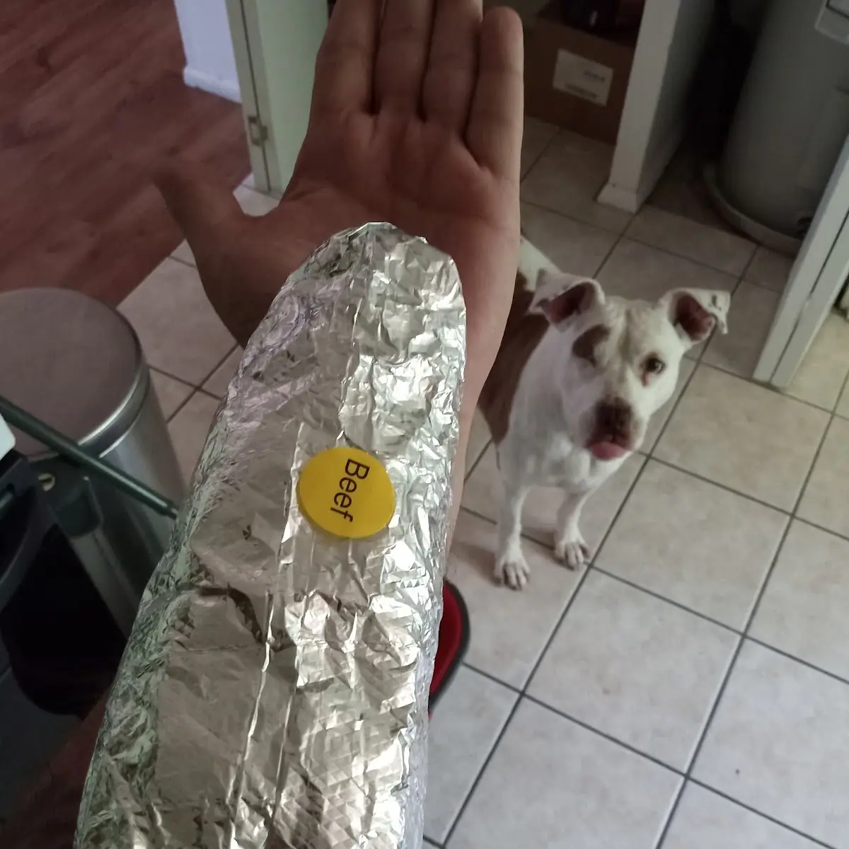 Carne Asada Burrito