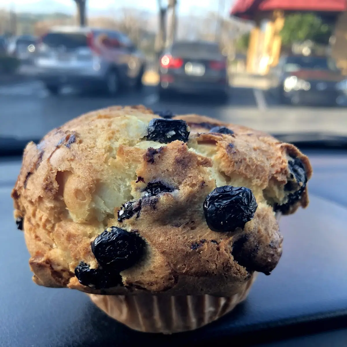 Blueberry Muffin