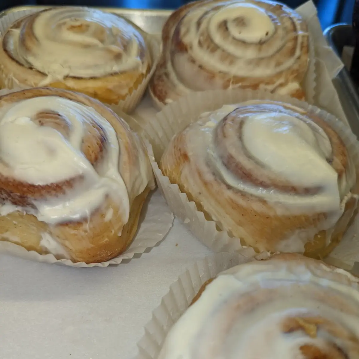 Cinnamon Roll