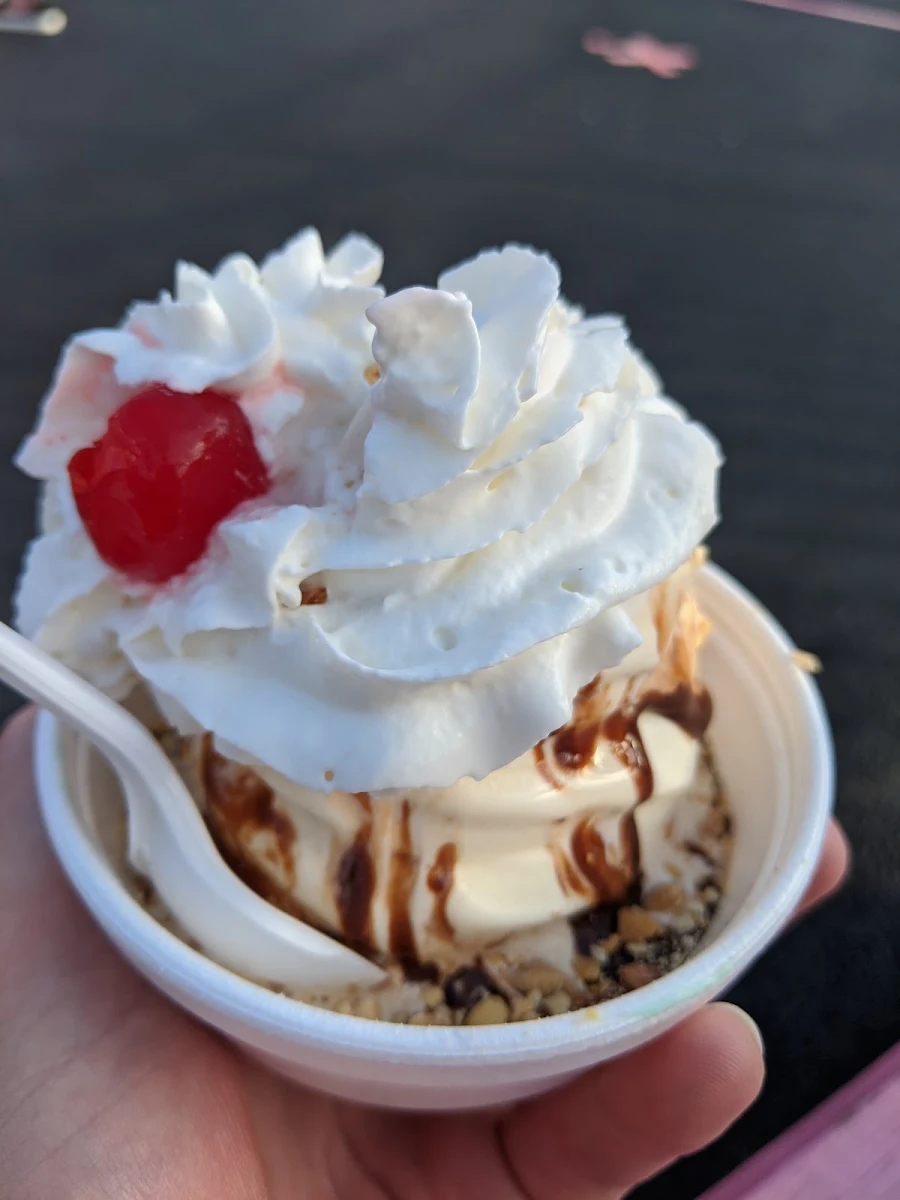 Regular Hot Fudge Sundae