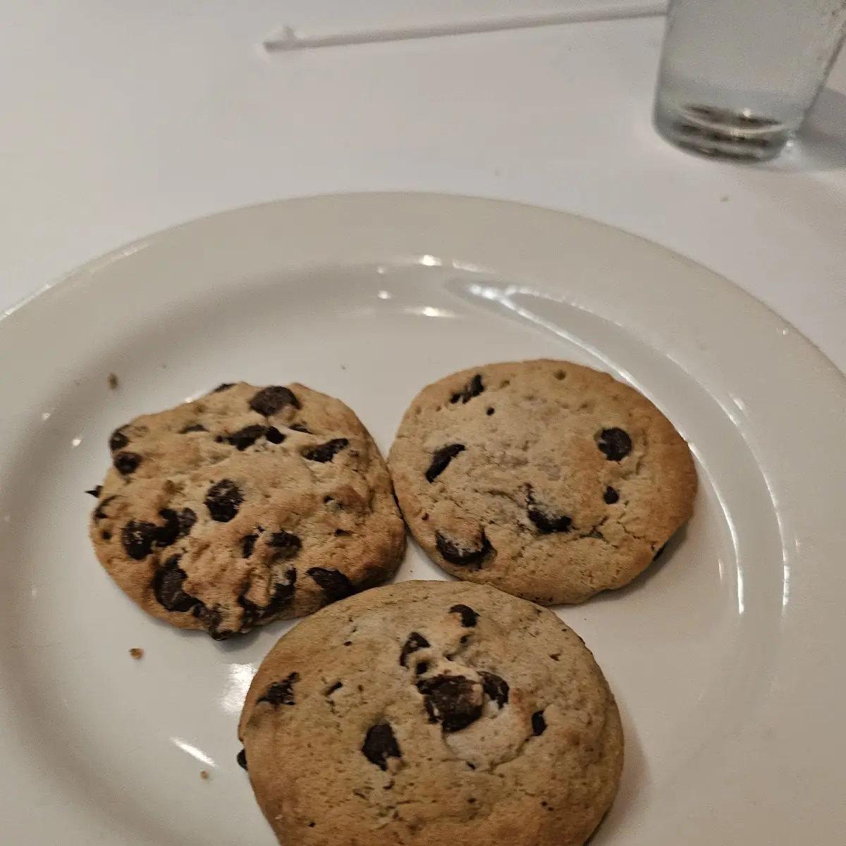 Chocolate Chip Cookie