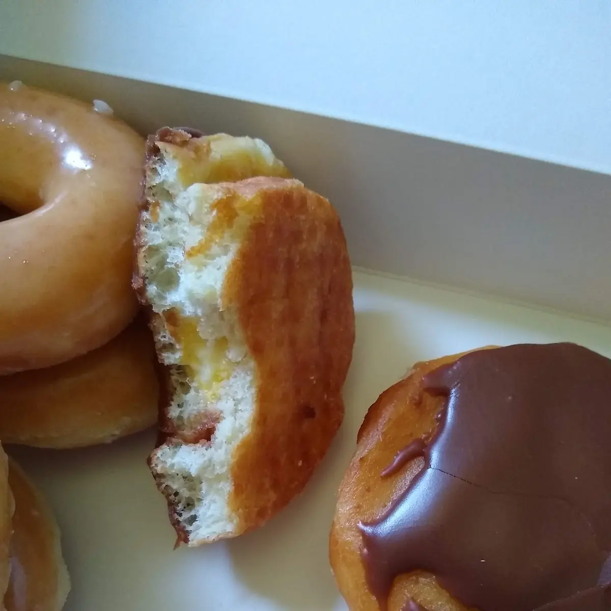 Boston Cream Donuts