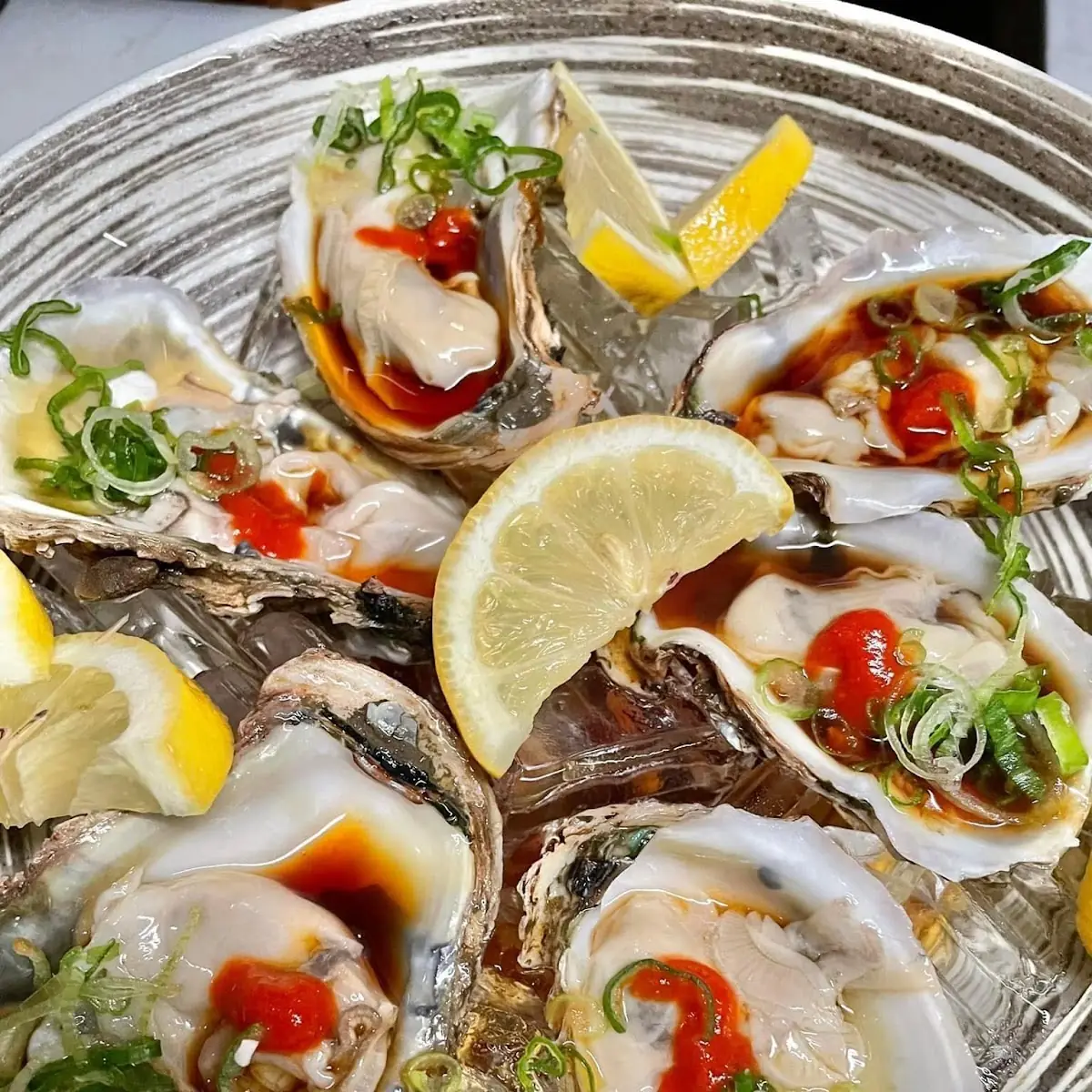 Half Shell Oysters 6 CT