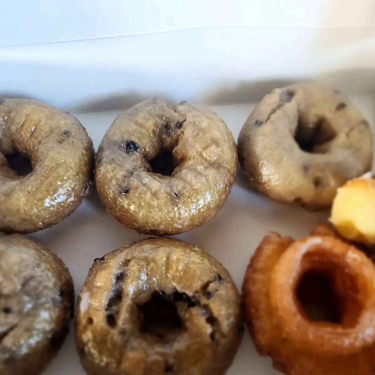 Doughnut