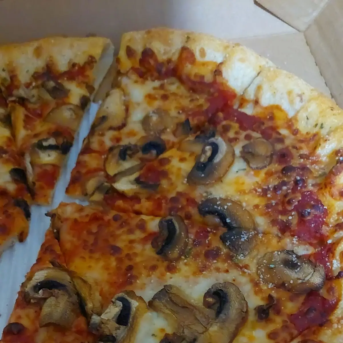 Mushroom Pizza