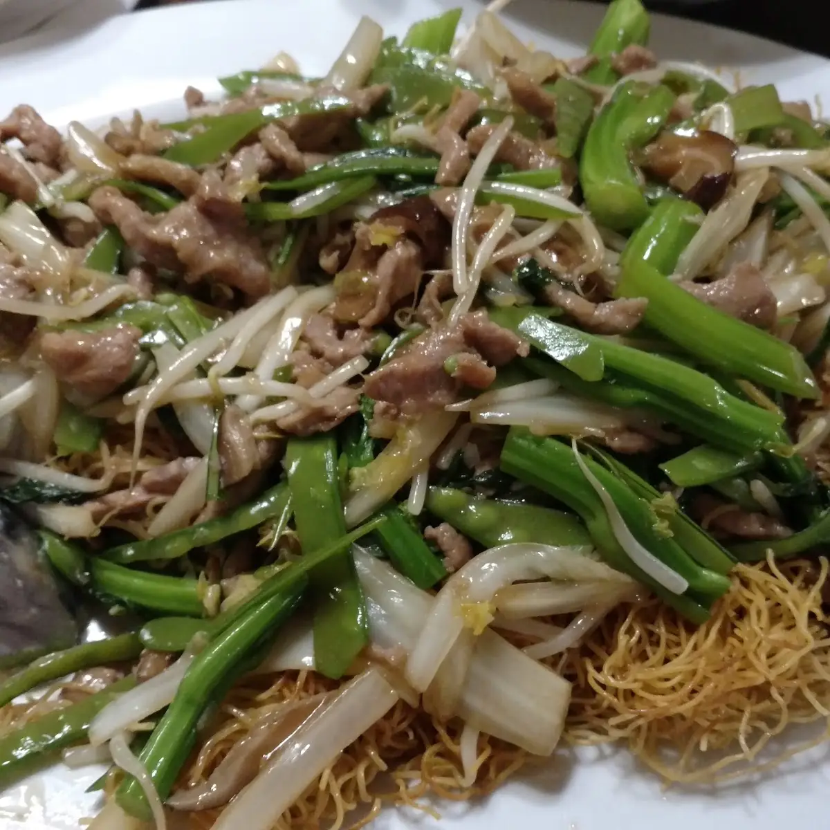 Beef and Scallion Pan Fried Noodles
