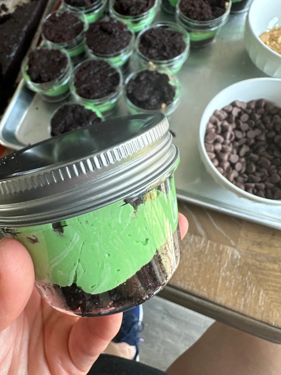 Mint Chocolate Chip