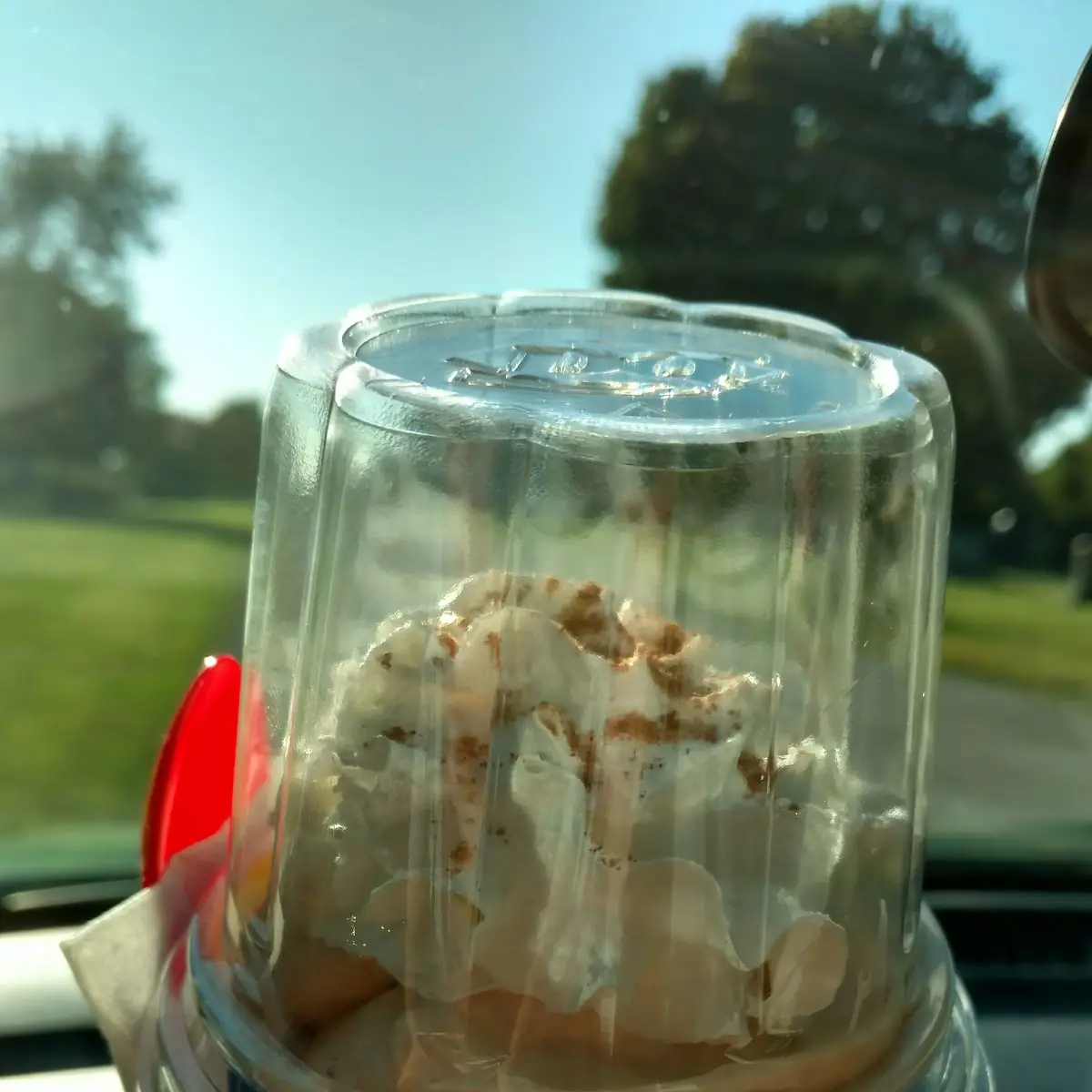 Medium Pumpkin Pie Blizzard