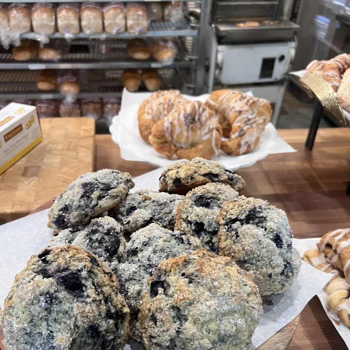 Blueberry Muffin