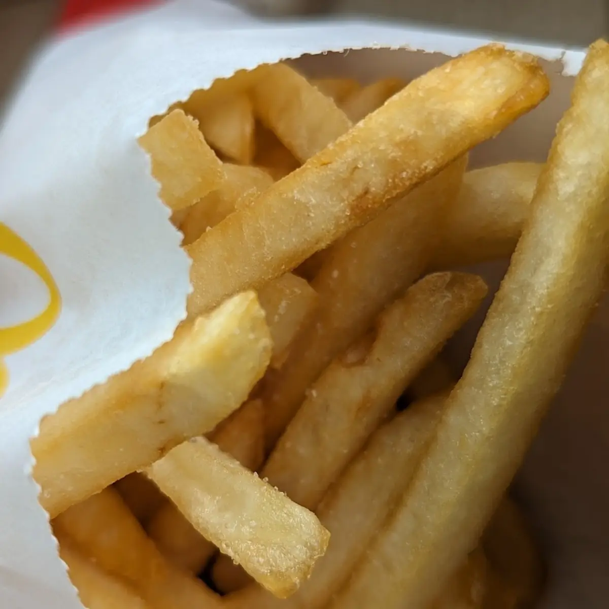 World Famous Fries
