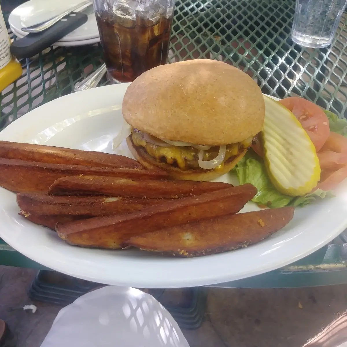 Elk Burger