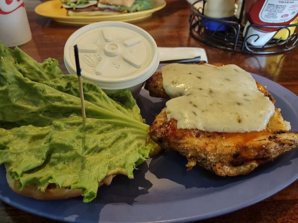 Jerk Chicken Sandwich