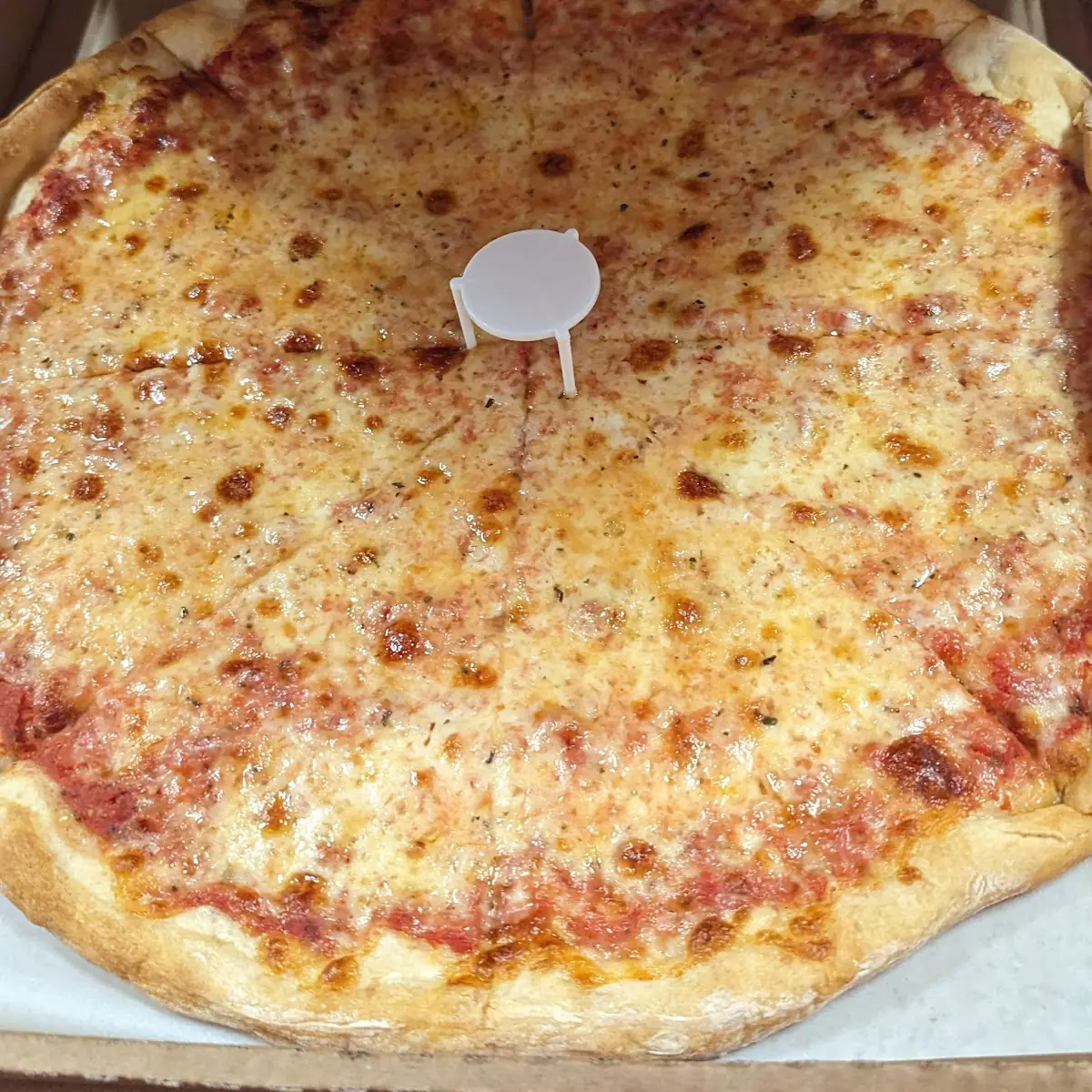 Plain Large Pizza