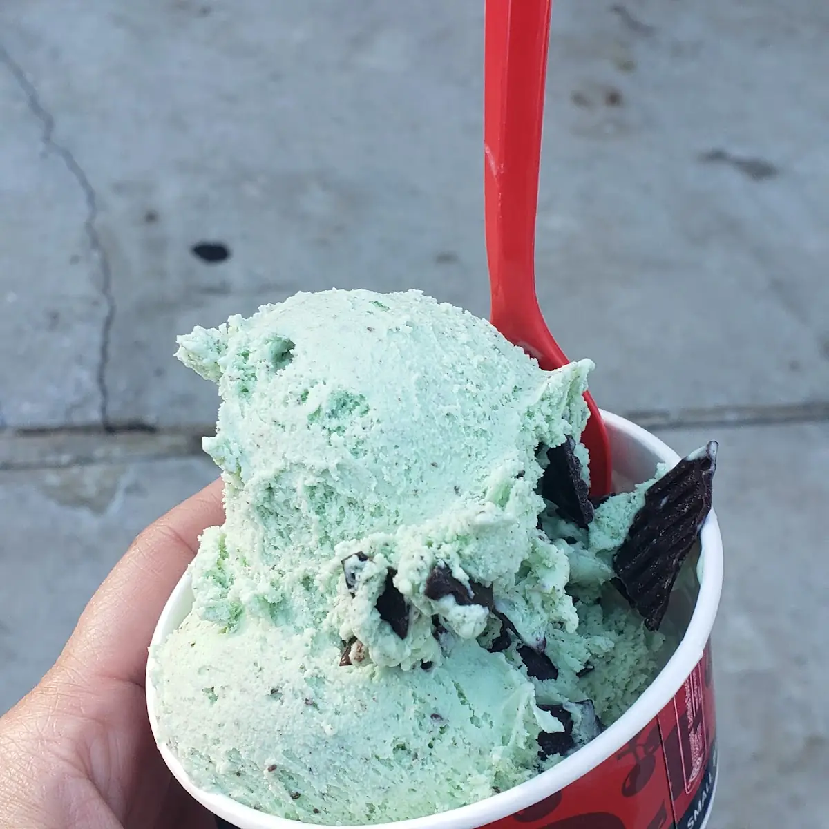 Mint Chocolate Chip