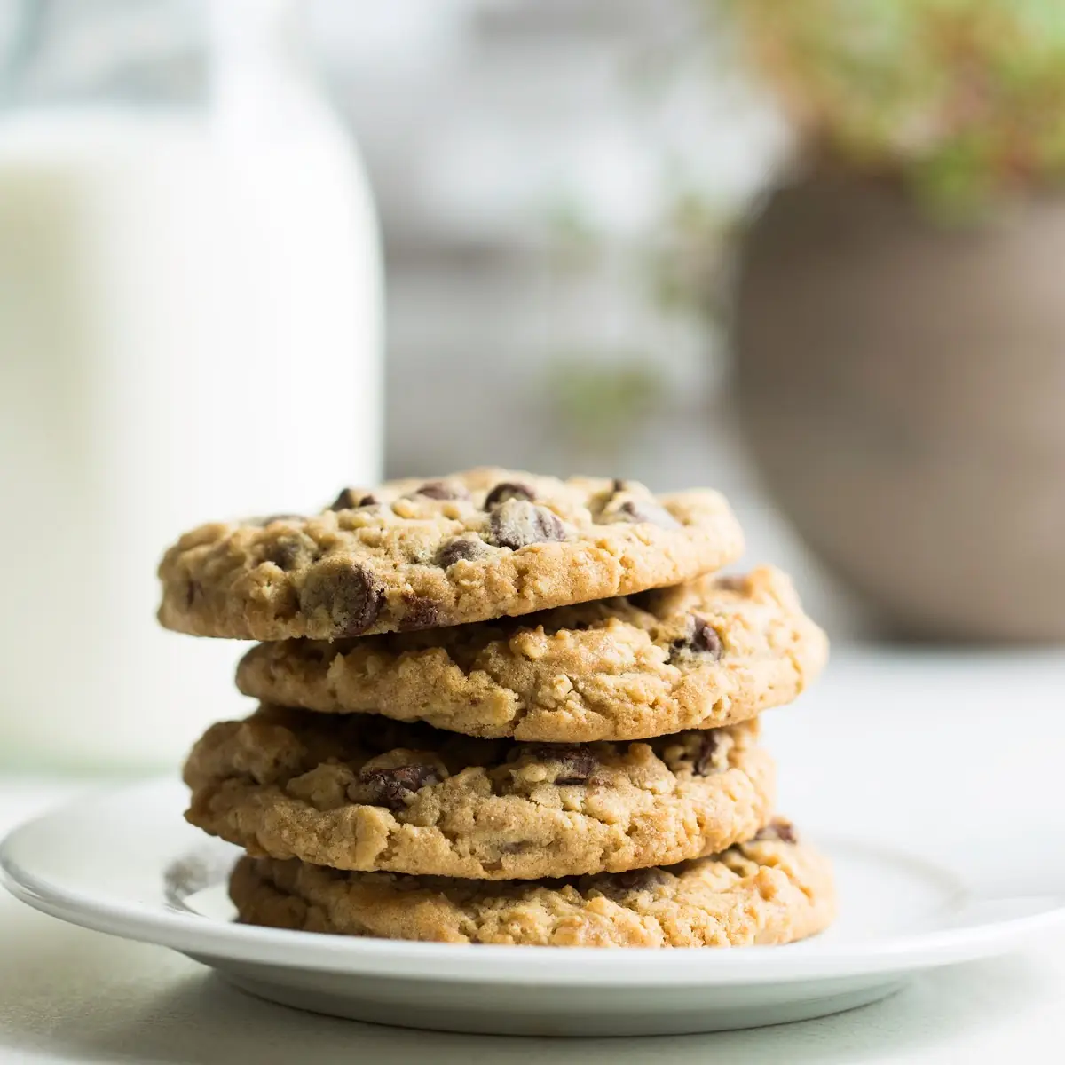 Oatmeal Chocolate Chip