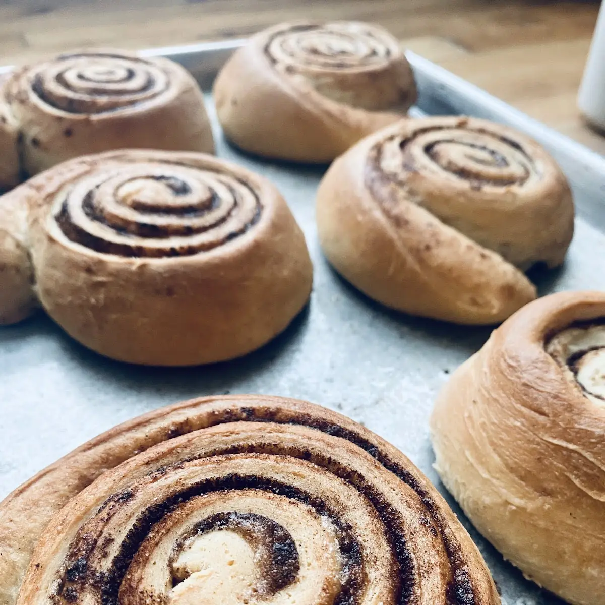 Cinnamon Roll